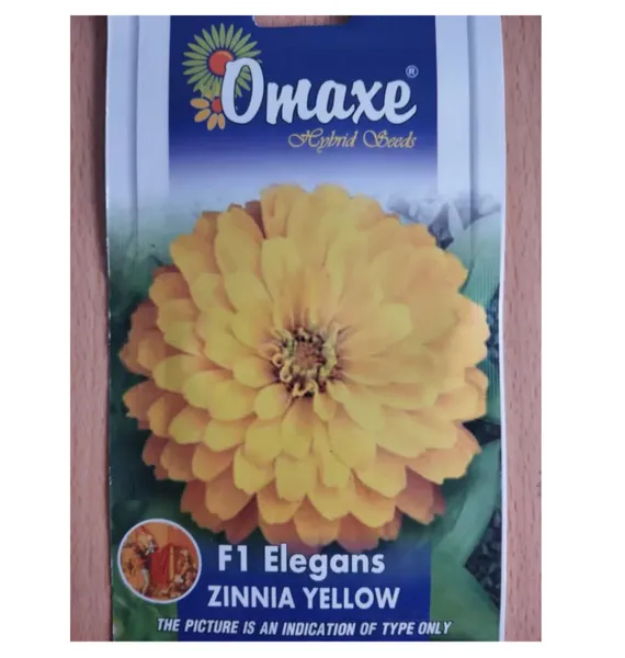 Omaxe F1 Elegans Zinnia Yellow Flower Seed - 50 Seeds